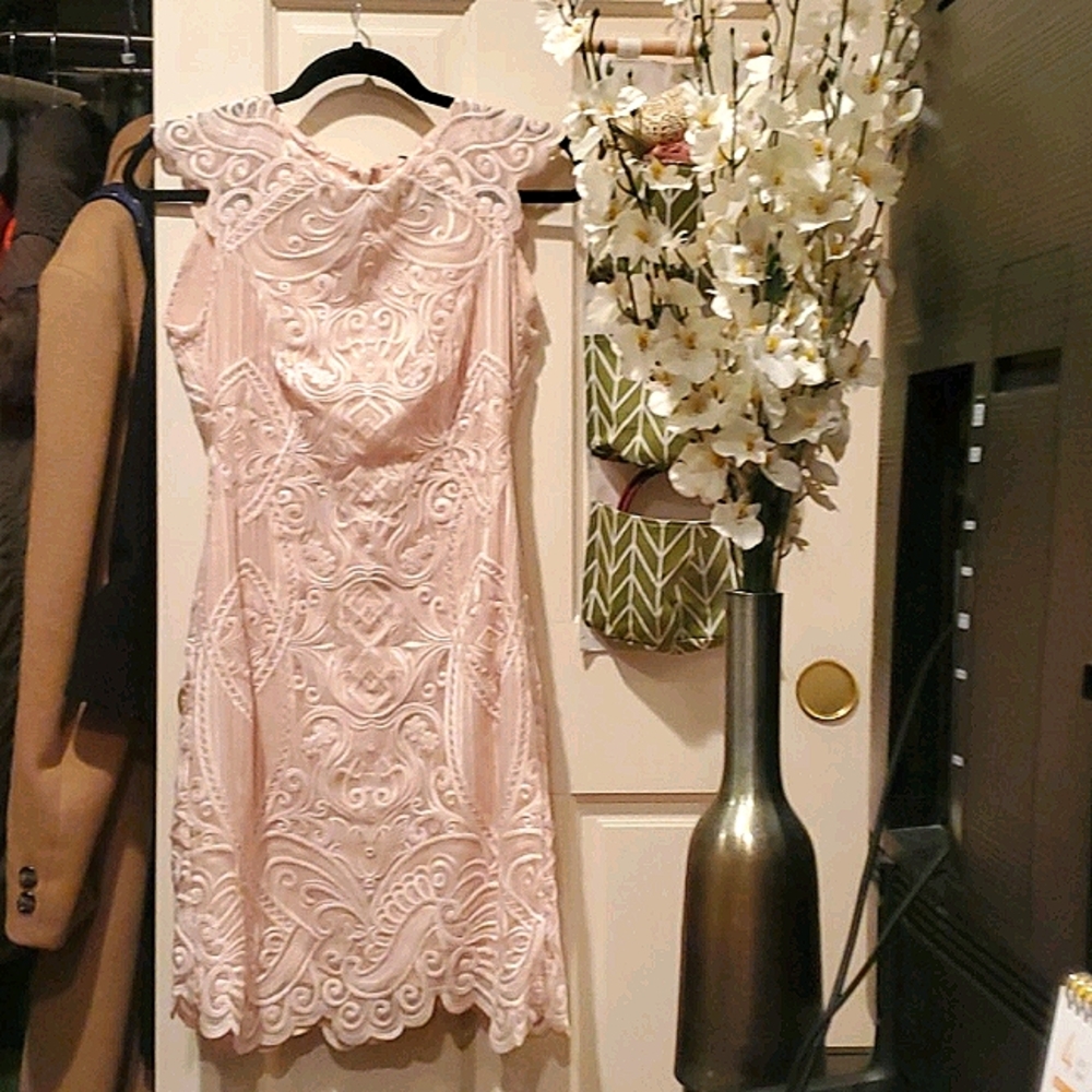 REISS Roxanda Lace Dress (US Size 2 / UK Size 6)